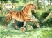 Tiger_horse_by_Agent_Elrond