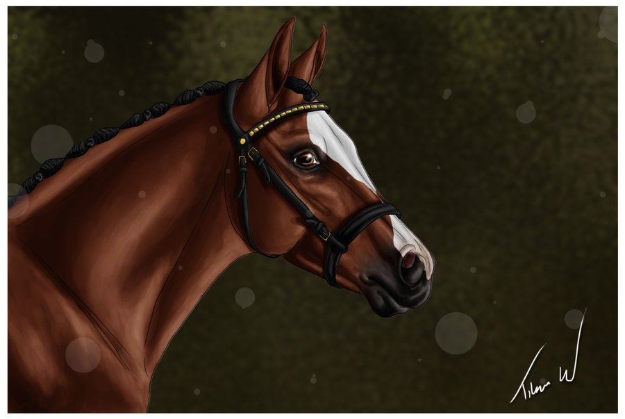hank_by_shangol-d5aksz9