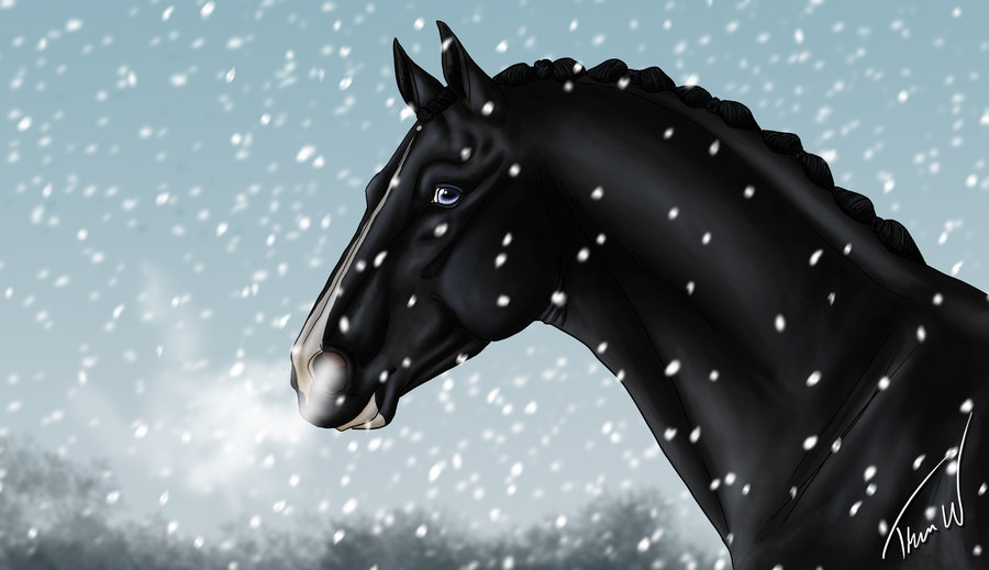 winter_wonderland_by_shangol-d5mu6xp