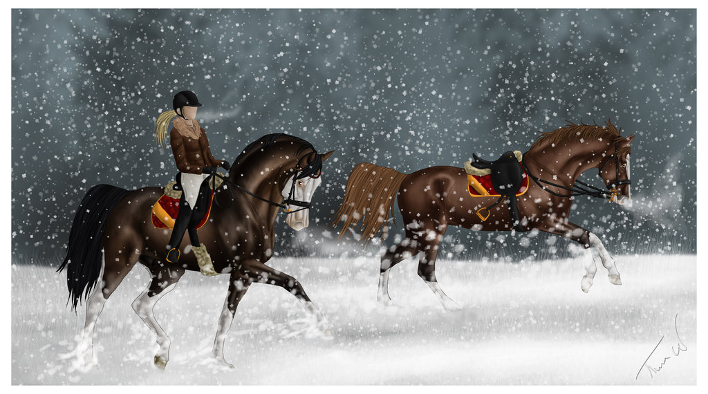 winter_roller_coaster_by_shangol-d5pczau