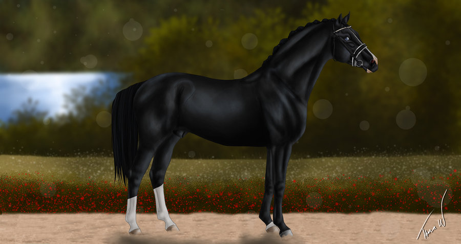 ess_savoy_by_shangol-d5nzyl7