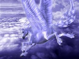 images (1)