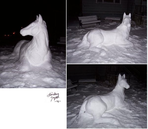 Snow_Horse_by_LindseyTaylor