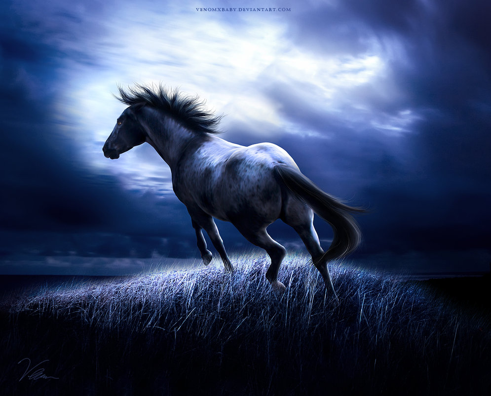 twilight_by_venomxbaby