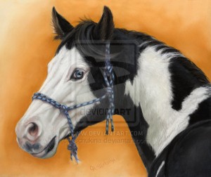 american_paint_horse.jpg