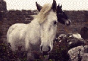anigif.gif