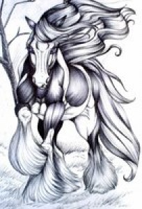 irish_horse____by_palewolf.jpg