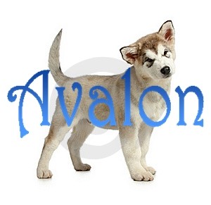 avalon.jpg